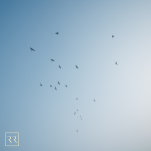 日本丰满老熟妇专区一二区
