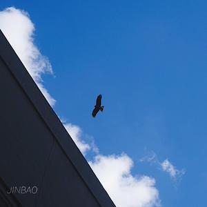 日本丰满老熟妇专区一二区
